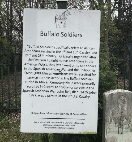 BUFFALO SOLDIERS IN AFRICAN CEMETERY WAR MEMORIAL PLAQUE