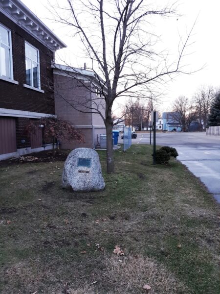 BRONSON WORLD WAR MEMORIAL TREE