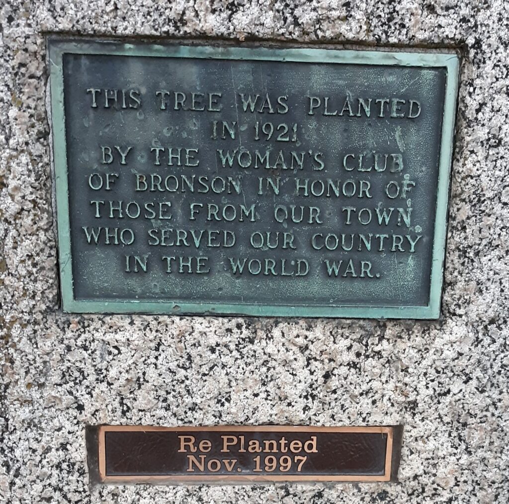 BRONSON WORLD WAR MEMORIAL TREE PLAQUE