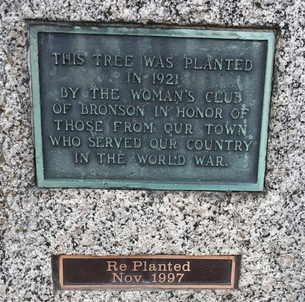 BRONSON WORLD WAR MEMORIAL TREE PLAQUE
