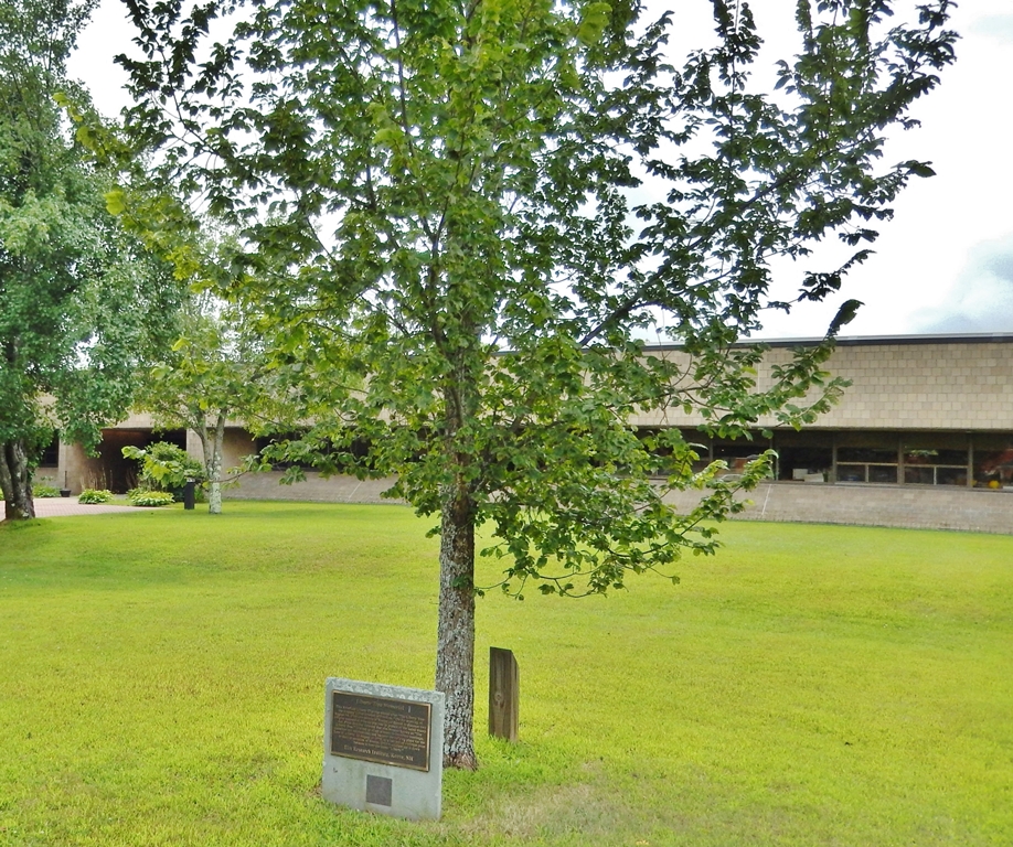 COVENTRY LIBERTY TREE MEMORIAL
