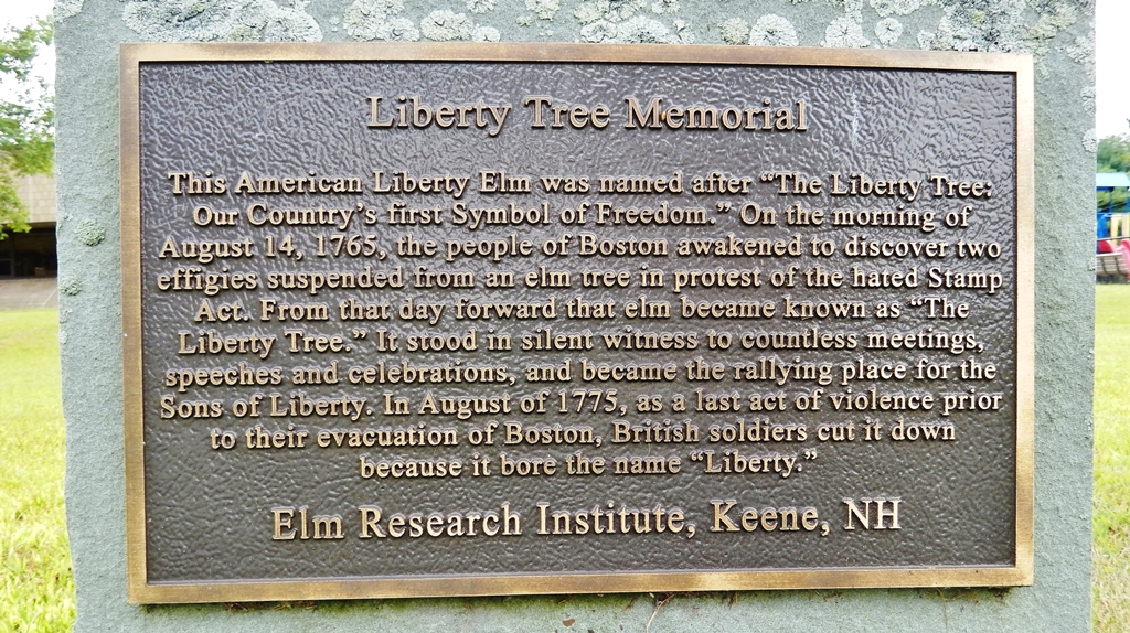 COVENTRY LIBERTY TREE MEMORIAL PLAQUE