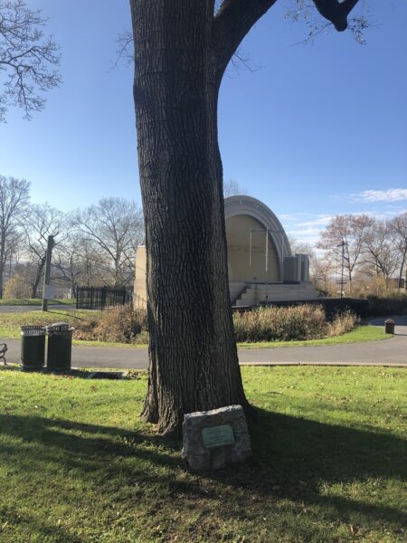 ADMIRAL WINFIELD SCOTT SCHLEY U.S.N. MEMORIAL TREE