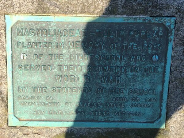 MAGNOLIACEAE-TULIP POPLAR WORLD WAR MEMORIAL TREE PLAQUE