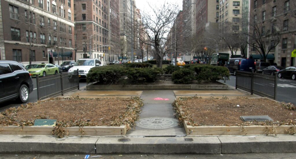CARNEGIE HILL SEPTEMBER 11, 2001 WAR MEMORIAL TREE