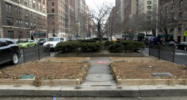 CARNEGIE HILL SEPTEMBER 11, 2001 WAR MEMORIAL TREE