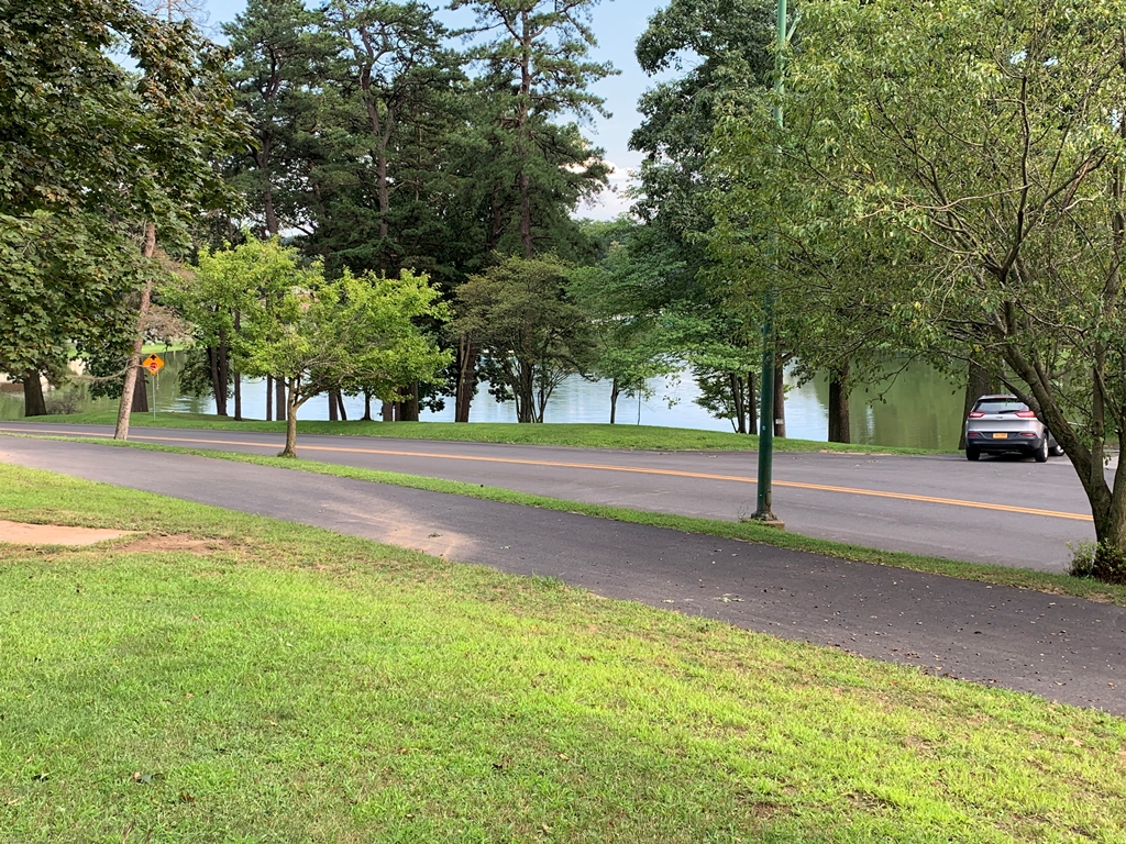 SCHENECTADY GRAND ARMY OF THE REPUBLIC MEMORIAL TREE