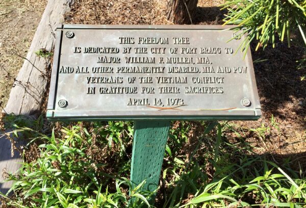 THIS FREEDOM TREE MAJOR WILLIAM F. MULLEN WAR MEMORIAL PLAQUE