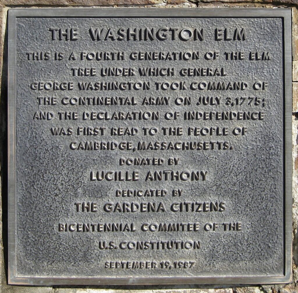 GARDENA THE WASHINGTON ELM MEMORIAL TREE PLAQUE