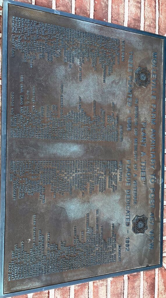 “PLANT A TREE” IN HONOR OR MEMORY OF A VETERAN MEMORIAL PLAQUE