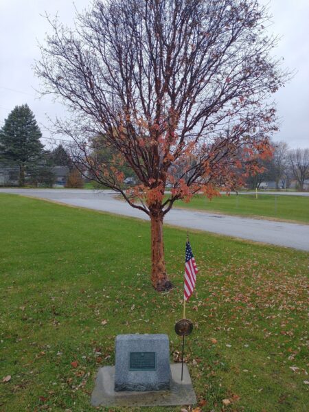 THIS TREE PLANTED ARTHUR CAULT OLIVER WAR MEMORIAL