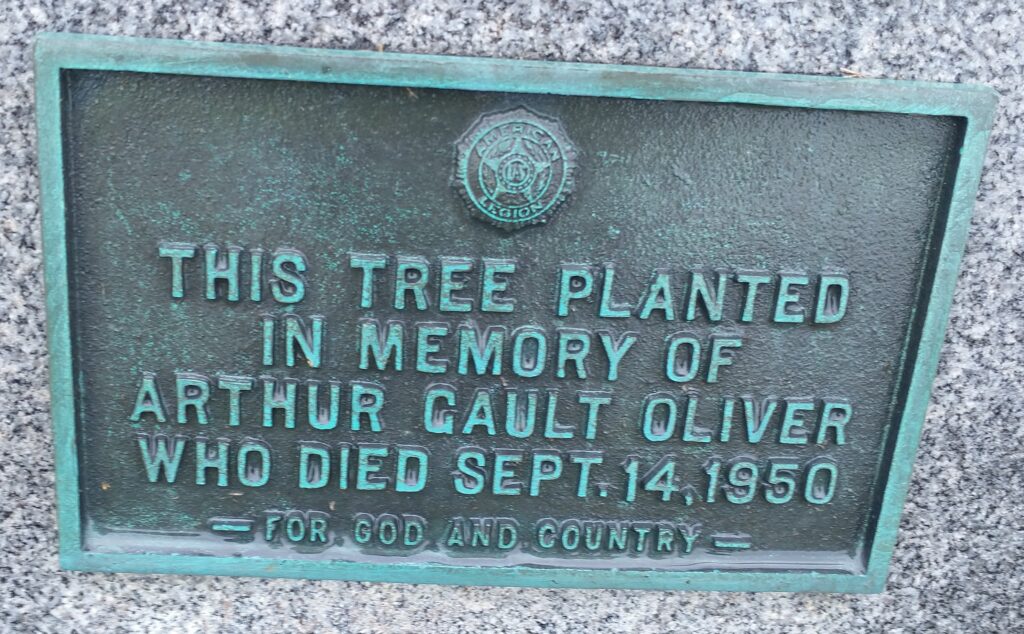 THIS TREE PLANTED ARTHUR CAULT OLIVER WAR MEMORIAL PLAQUE