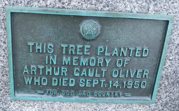 THIS TREE PLANTED ARTHUR CAULT OLIVER WAR MEMORIAL PLAQUE