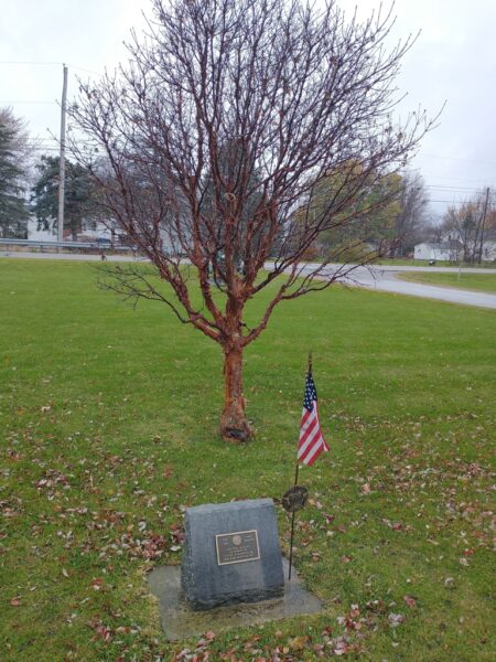 THIS TREE PLANTED VICTOR R. BENNETT, JR. WAR MEMORIAL