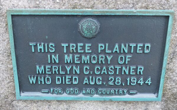 THIS TREE PLANTED MERLYN C. CASTNER WAR MEMORIAL PLAQUE