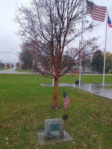 THIS TREE PLANTED CHARLES C. LYBARGER WAR MEMORIAL