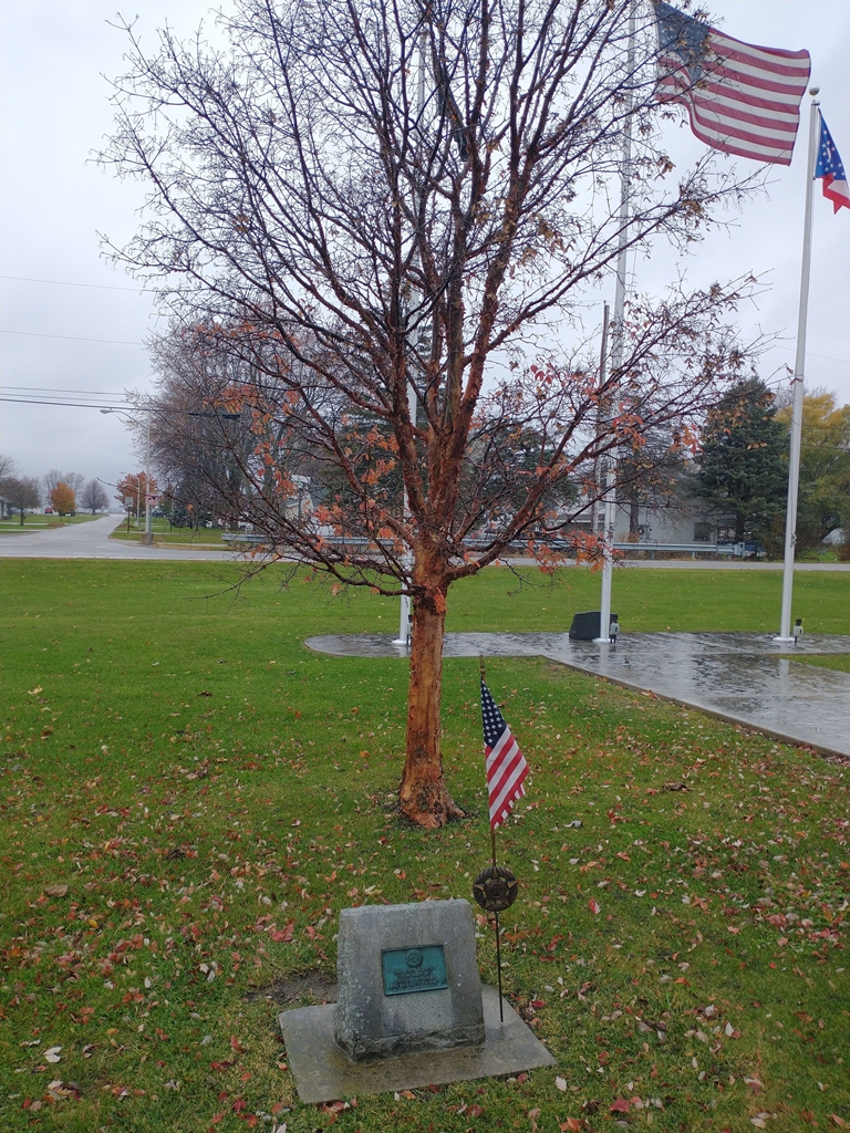 THIS TREE PLANTED CHARLES C. LYBARGER WAR MEMORIAL