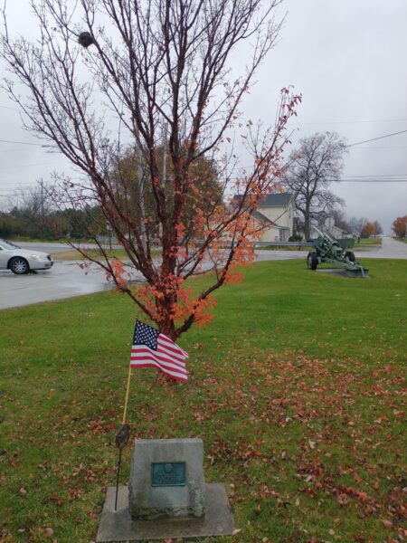 THIS TREE PLANTED GEORGE W. GRIMM WAR MEMORIAL