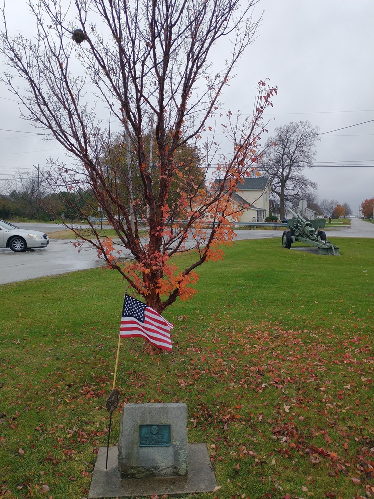 THIS TREE PLANTED GEORGE W. GRIMM WAR MEMORIAL