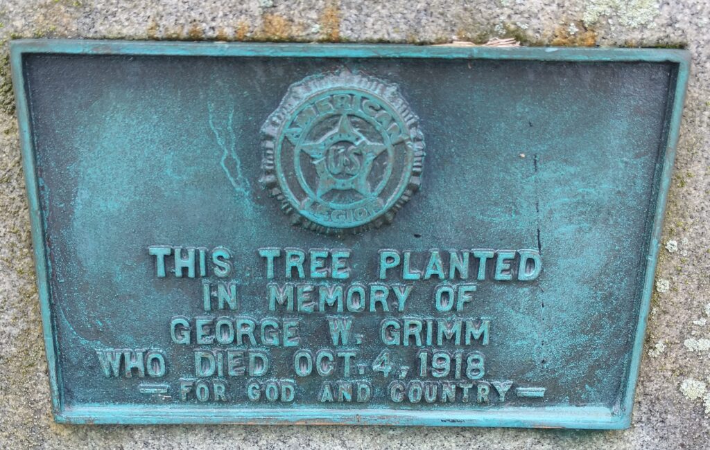 THIS TREE PLANTED GEORGE W. GRIMM WAR MEMORIAL PLAQUE