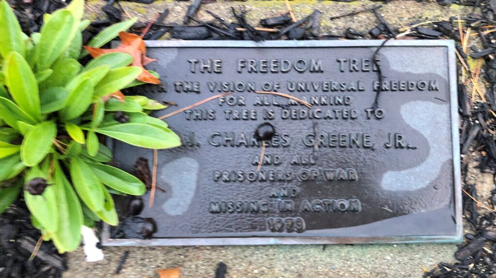 THE FREEDOM TREE MAJ. CHARLES GREENE, JR. MEMORIAL PLAQUE