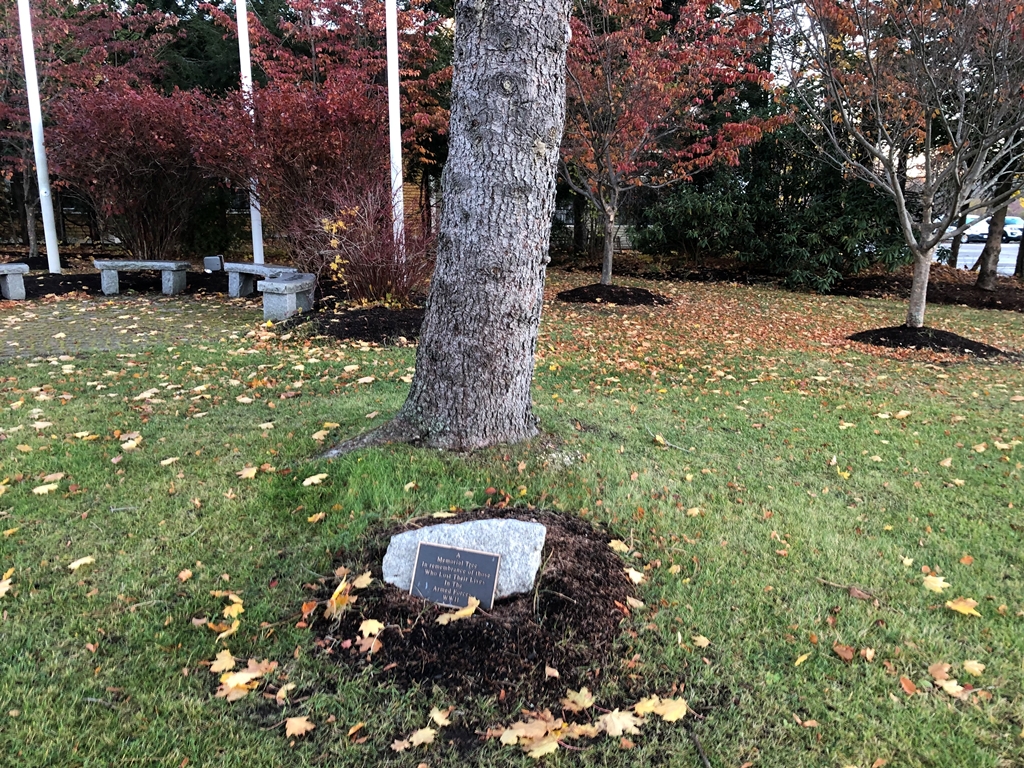 A WORLD WAR II MEMORIAL TREE
