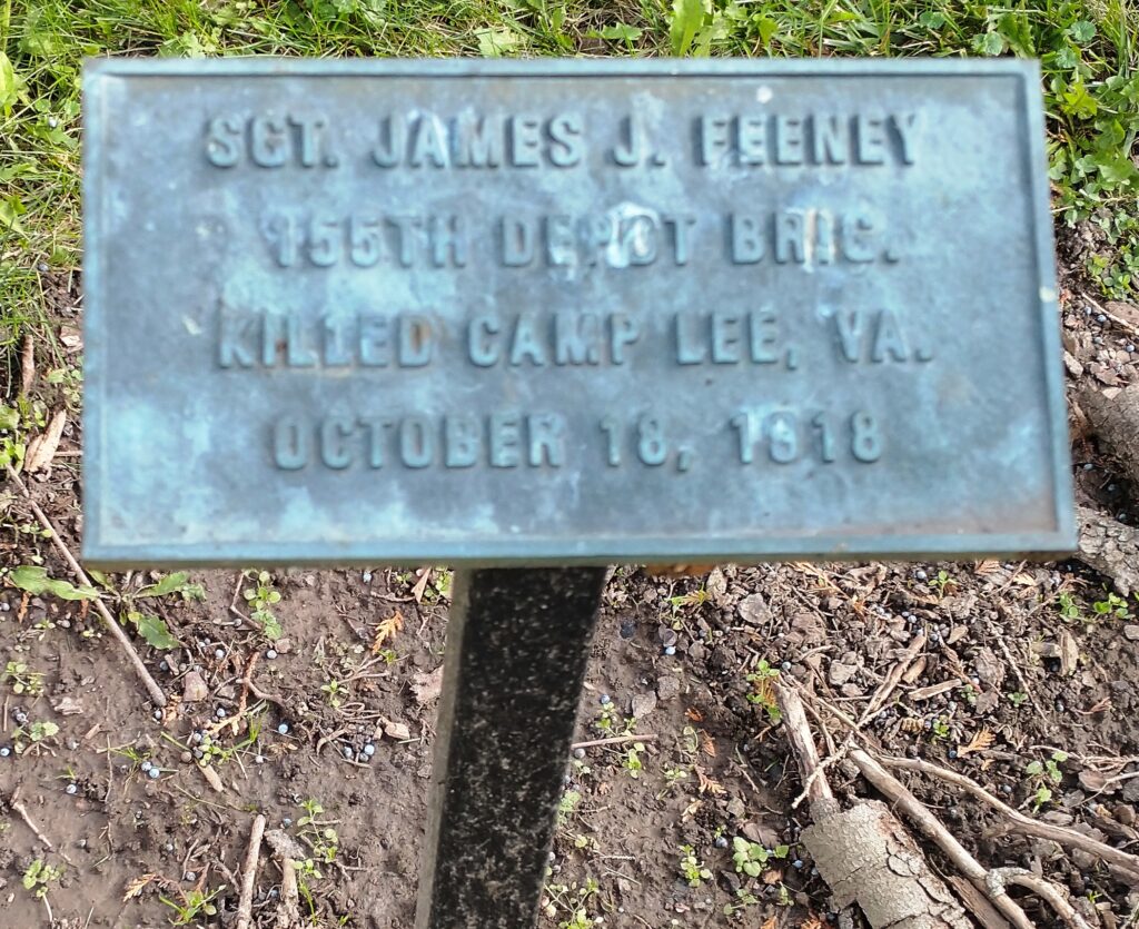 SGT. JAMES J. FEENEY WAR MEMORIAL TREE PLAQUE