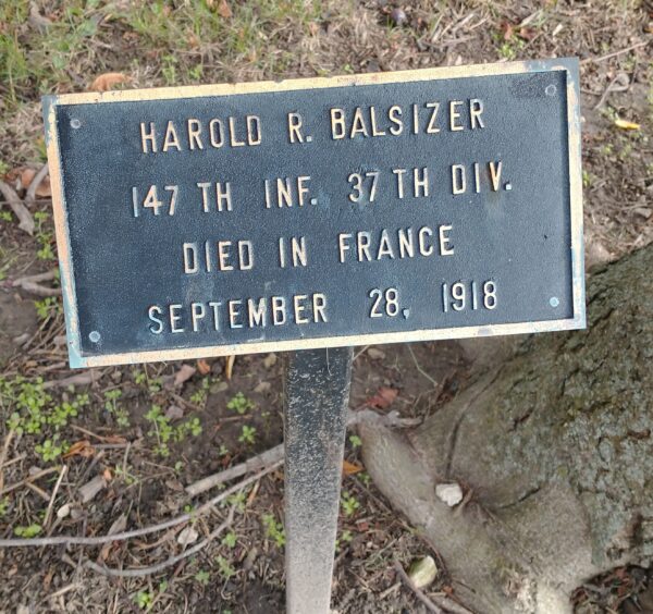 HAROLD R. BALSIZER WAR MEMORIAL TREE PLAQUE