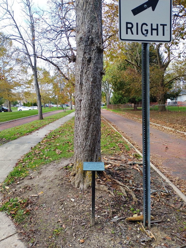 GEORGE B. MEEK WAR MEMORIAL TREE