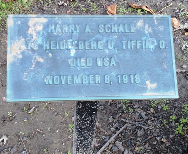 HARRY A. SCHALL WAR MEMORIAL TREE PLAQUE