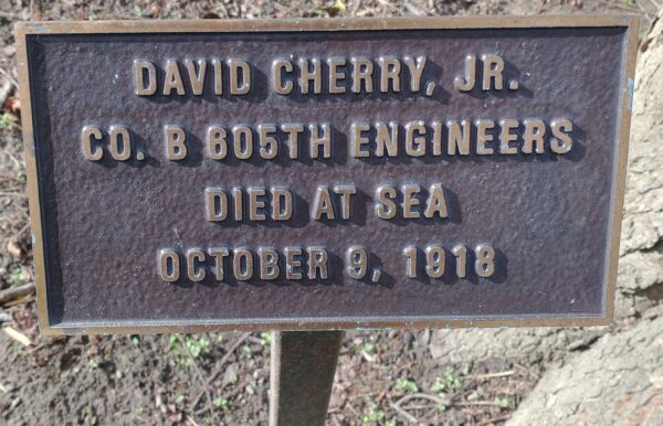 DAVID CHERRY, JR. WAR MEMORIAL TREE PLAQUE