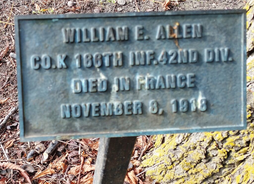 WILLIAM E. ALLEN WAR MEMORIAL TREE PLAQUE