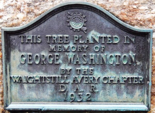 THIS TREE PLANTED IN MEMORY OF GEORGE WASHINGTON MEMORIAL  PLAQUE