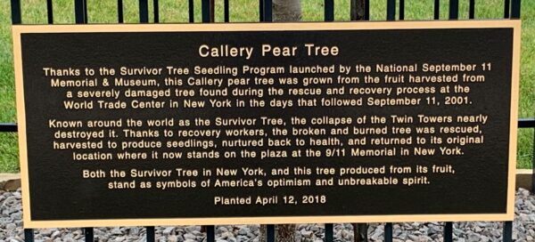 THE SEPTEMBER 11 MEMORIAL WALKWAY OF SOUTHERN ILLINOIS PLAQUE F