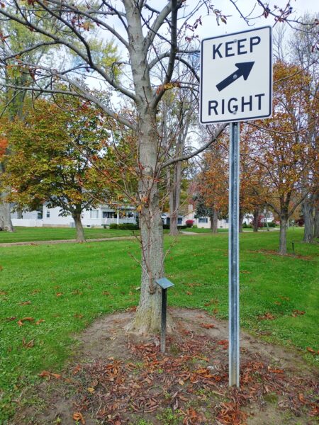 LYNN H. MARTIN WAR MEMORIAL TREE