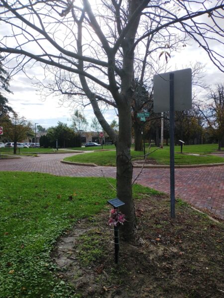 PVT. AUGUST B. MISCHKE WAR MEMORIAL TREE