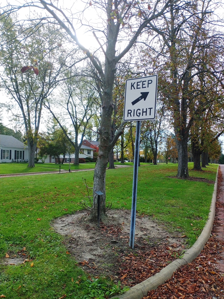 PERRY R. SCHNEIDER WAR MEMORIAL TREE