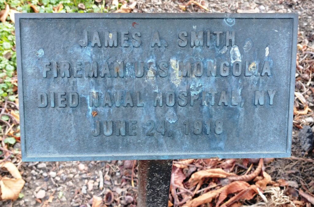 JAMES A. SMITH WAR MEMORIAL TREE