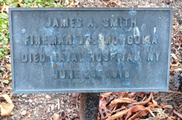 JAMES A. SMITH WAR MEMORIAL TREE