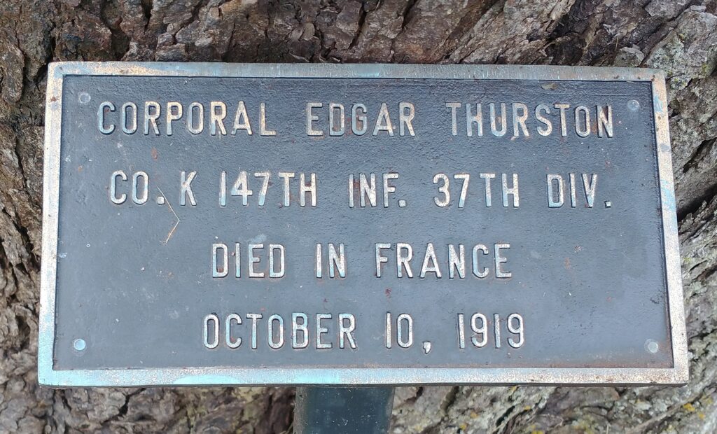 CORPORAL EDGAR THURSTON WAR MEMORIAL TREE PLAQUE