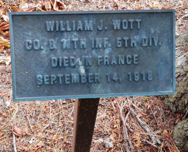WILLIAM J. WOTT WAR MEMORIAL TREE PLAQUE