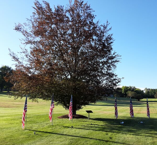 PITTSFORD SEPTEMBER 11, 2001 WAR MEMORIAL TREE
