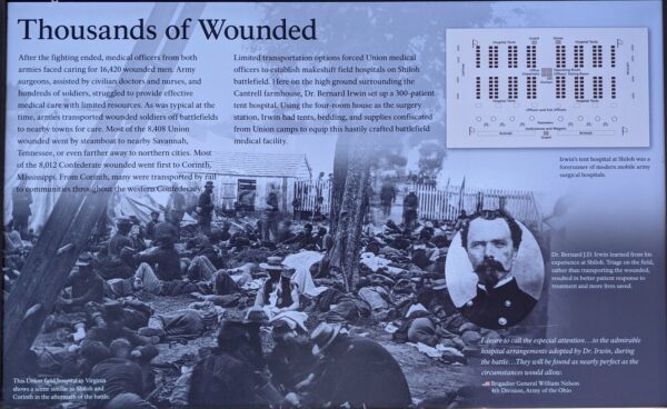 THOUSANDS OF WOUNDED WAR MEMORIAL PANEL