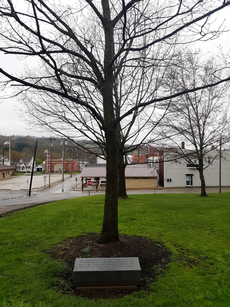 LOUDENVILLE’S SEPTEMBER 11, 2001 MEMORIAL TREE