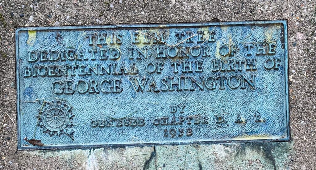 GEORGE WASHINGTON ELM TREE MEMORIAL PLAQUE
