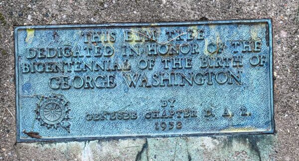 GEORGE WASHINGTON ELM TREE MEMORIAL PLAQUE