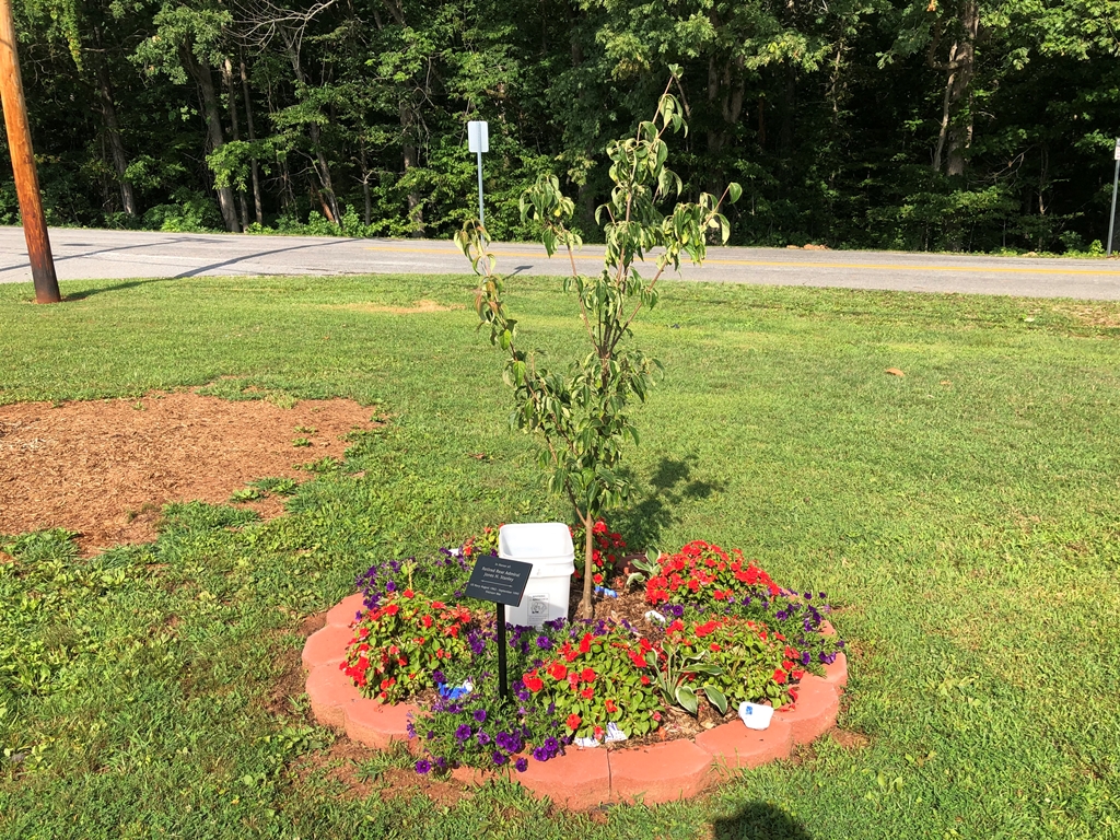 RETIRED REAR ADMIRAL JONES H. STANLEY WAR MEMORIAL TREE