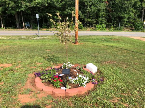 SSGT GREGORY C. DAYNE WAR MEMORIAL TREE