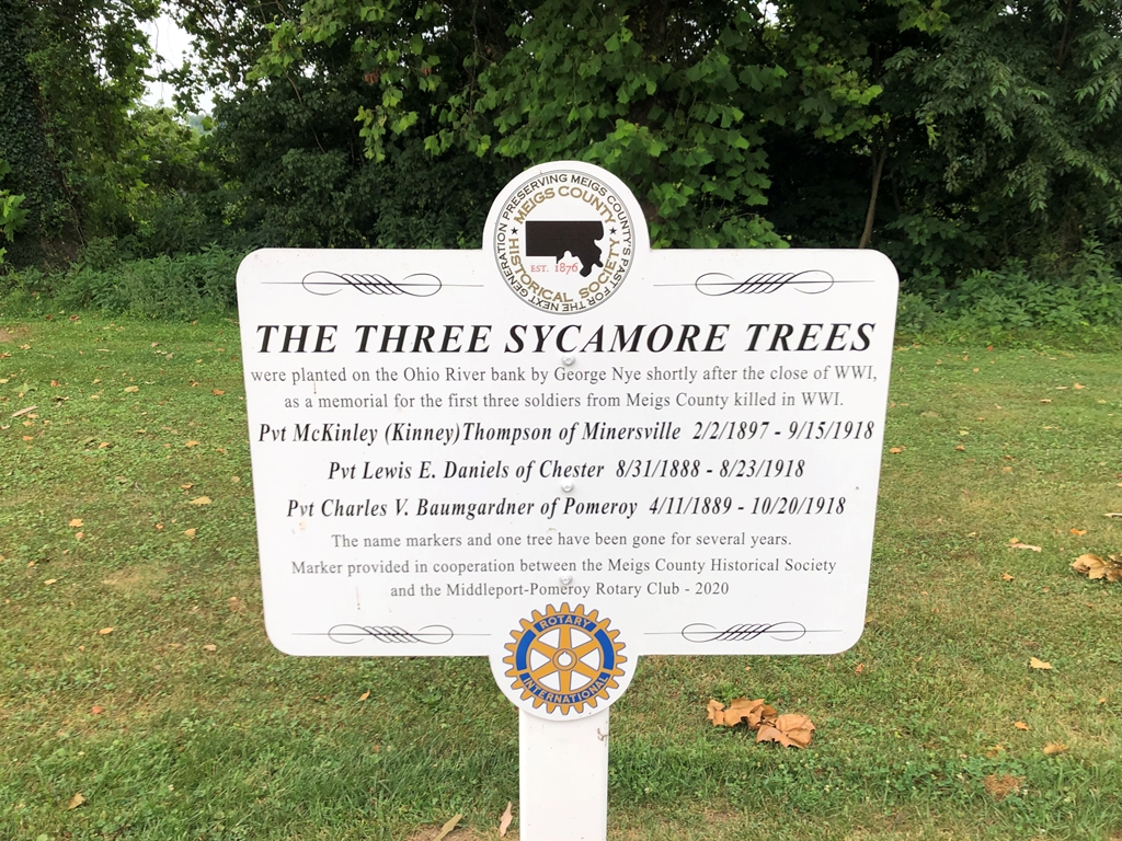 THE TREE SYCAMORE TREES MEMORIAL PLAQUE