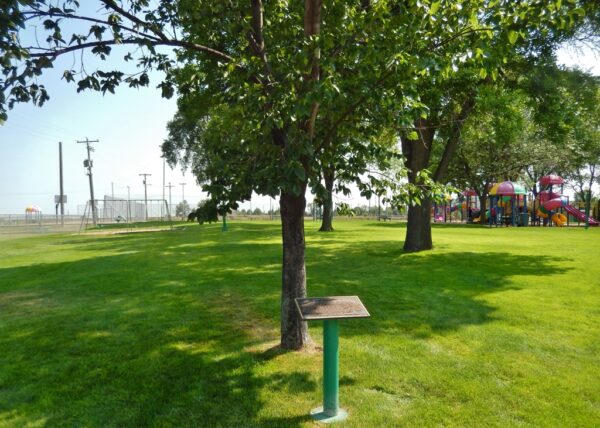 HOLYOKE LIBERTY TREE MEMORIAL